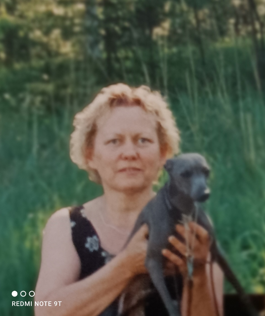 Greyhound uusi suomi puheenvuoro