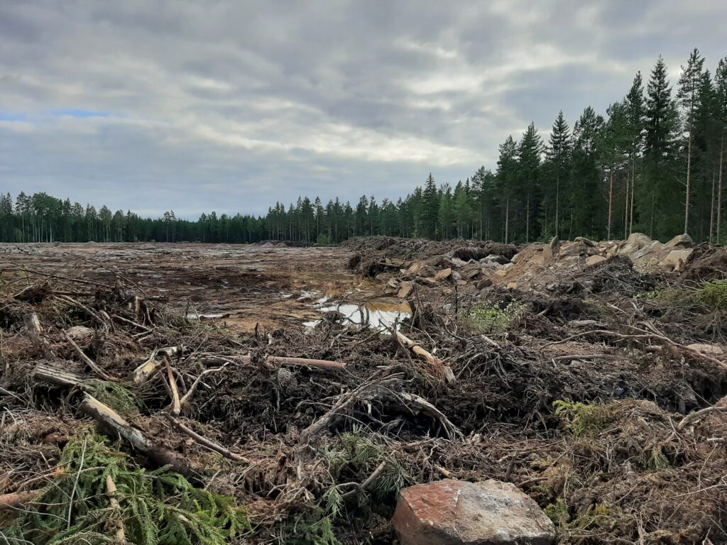 Varsinais-Suomen Ely-keskus hyväksyy tuulivoimalat susireviirin alueelle. |  Uusi Suomi Puheenvuoro